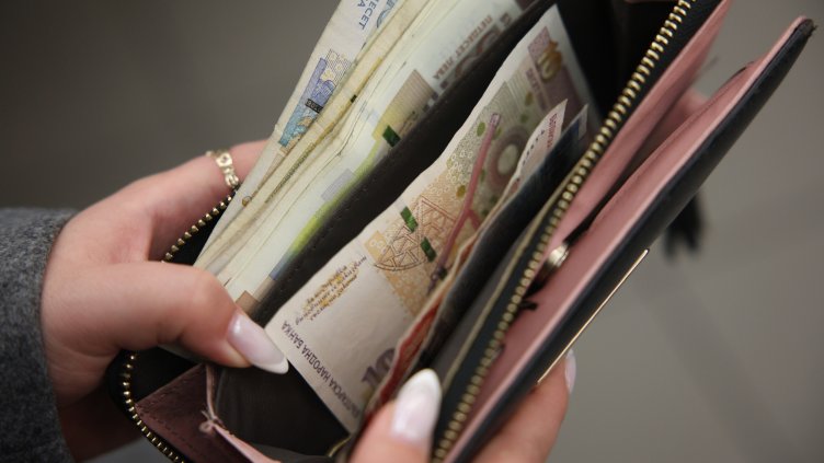 Снимка: архив, БГНЕС