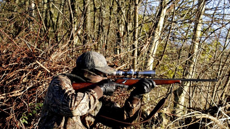 Снимка: Пиксабей