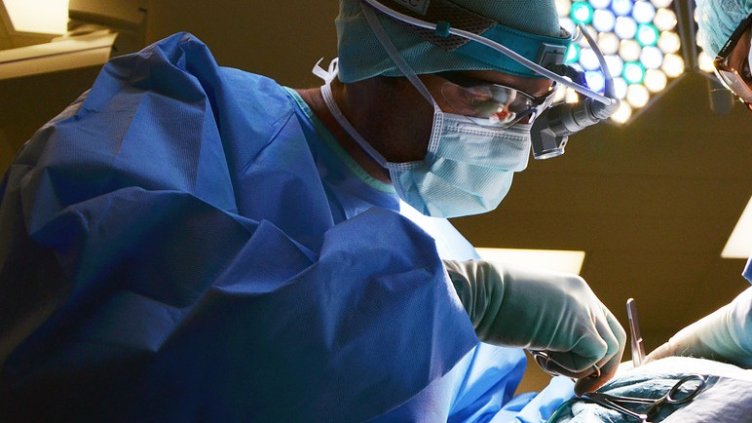 Снимка: Pixabay