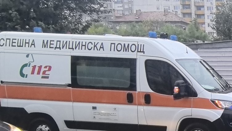 БГНЕС, архив