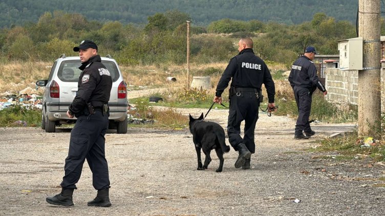 БГНЕС, архив