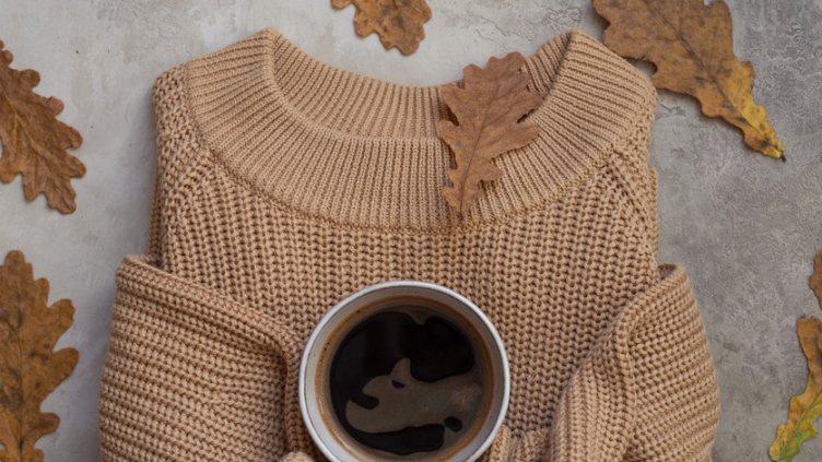 Снимка:  Istock