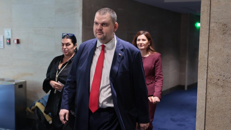 Снимка: БГНЕС