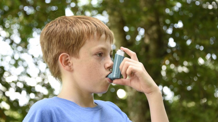 Снимка: IstockPhoto