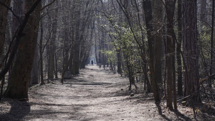 Снимка: архив, БГНЕС