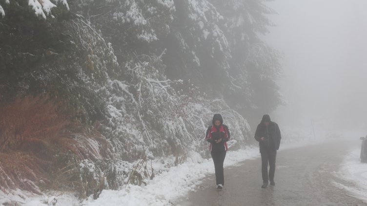 Снимка: архив, БГНЕС