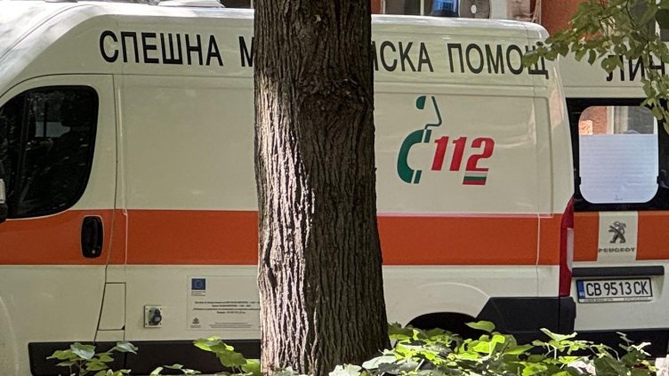 БГНЕС, архив