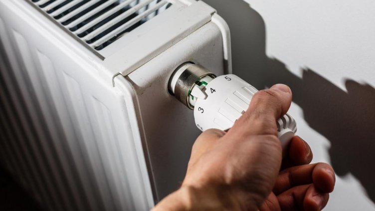 Снимка БГНЕС