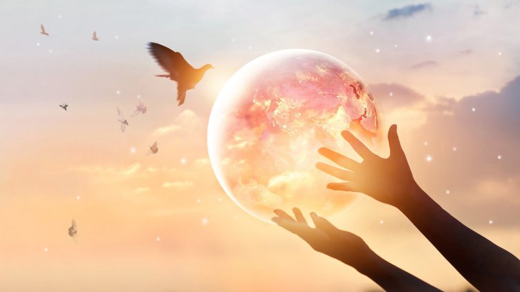 Снимка: istock