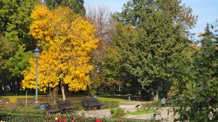 Снимка: БГНЕС