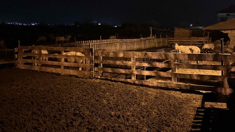 Снимка БГНЕС