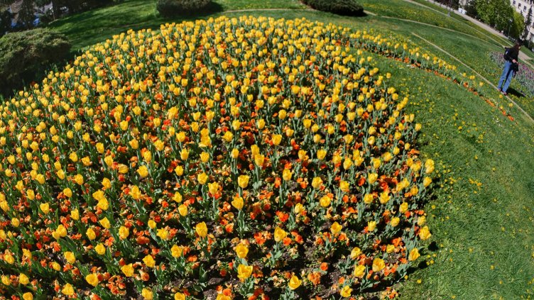 Снимка: Димитър Кьосемарлиев, Dnes.bg