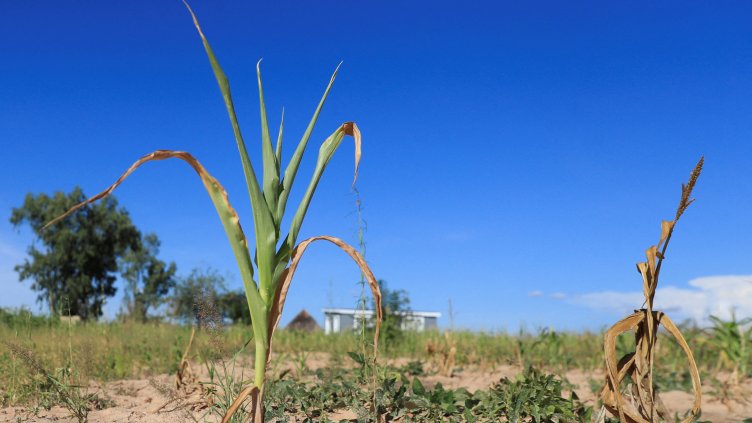 Снимка: Reuters