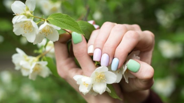 Снимка: IstockPhoto