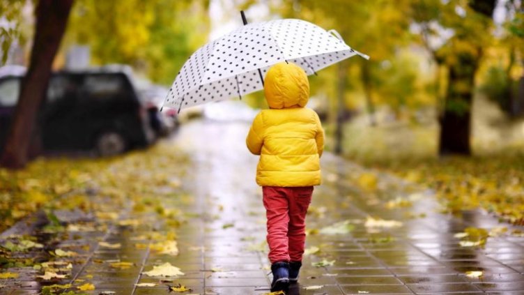 Снимка Пиксабей