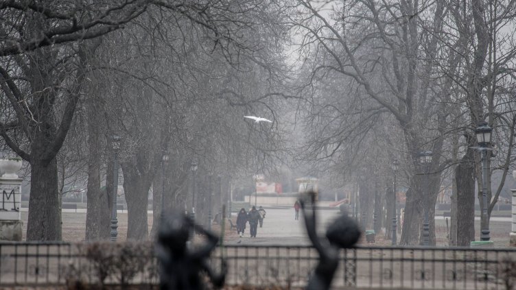 Димитър Кьосемарлиев, Dnes.bg