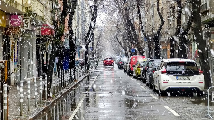 Снимка: БГНЕС