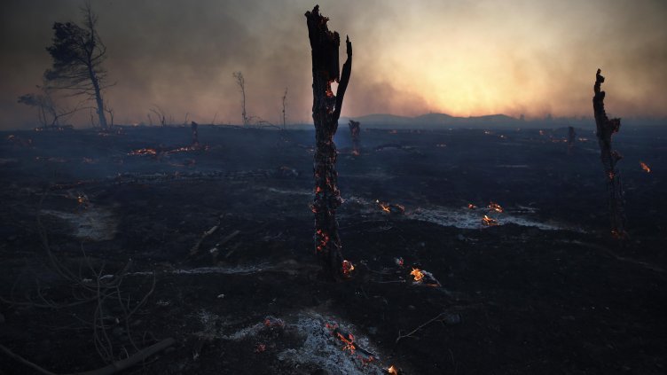 Снимка: БГНЕС