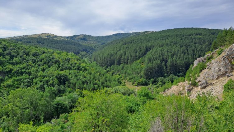 Снимка: БГНЕС