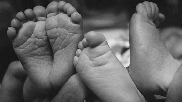 Снимка Пиксабей