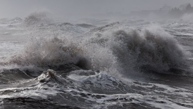 Снимка: архив, БГНЕС