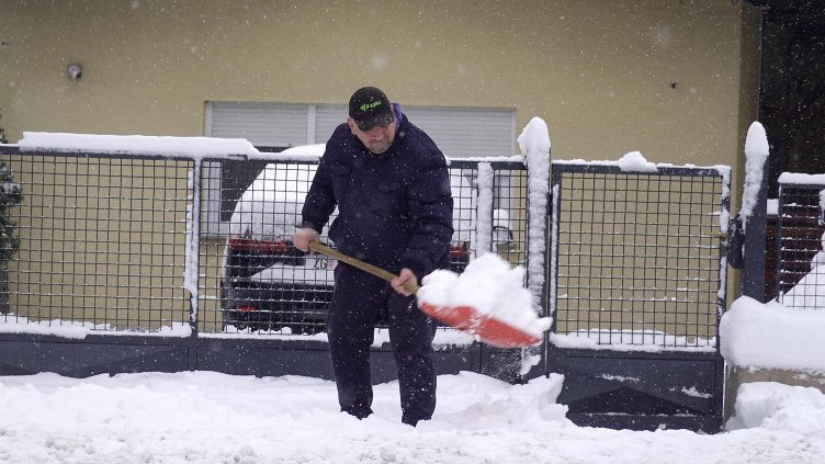 Снимка: архив, БГНЕС