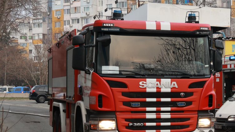 Снимка: архив, БГНЕС