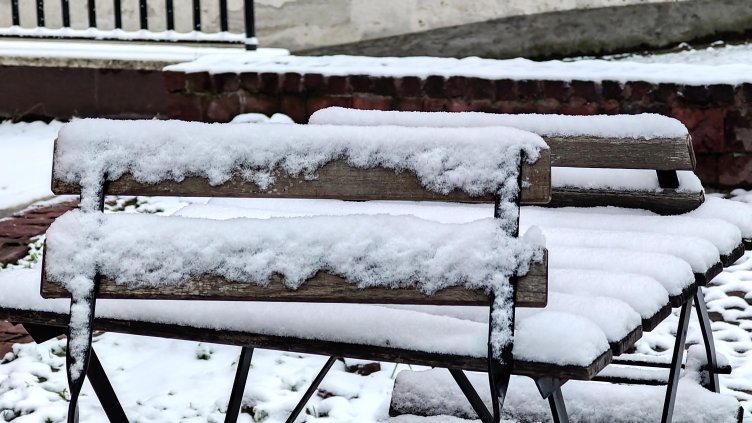 Снимка: архив, БГНЕС