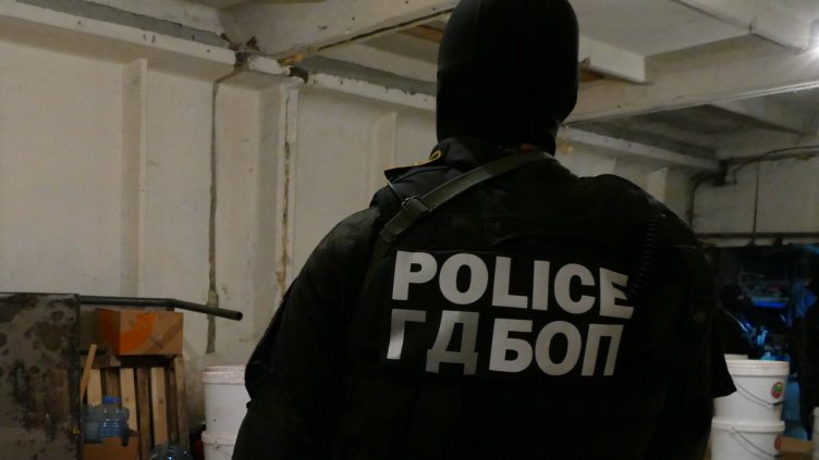 БГНЕС, архив