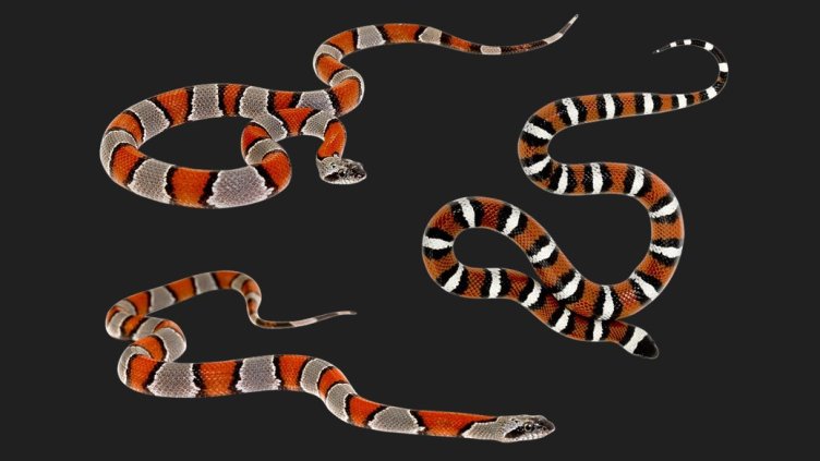 Снимка Пиксабей