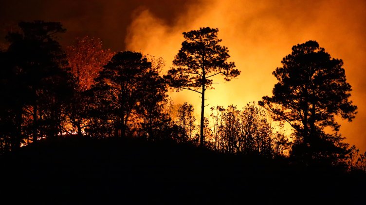 Снимка: архив, БГНЕС
