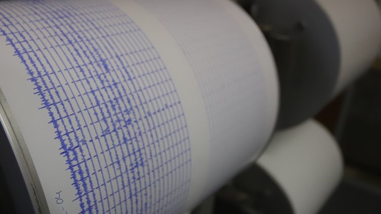 Снимка: архив, БГНЕС