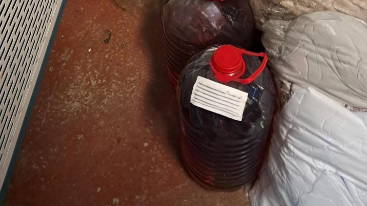 БГНЕС, архив