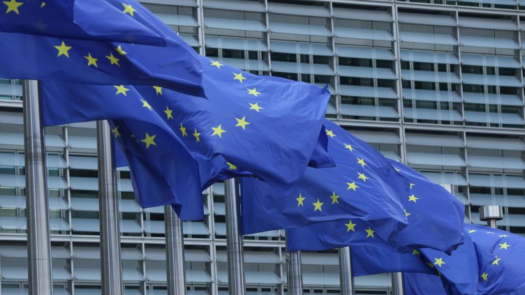 Снимка: архив, БГНЕС