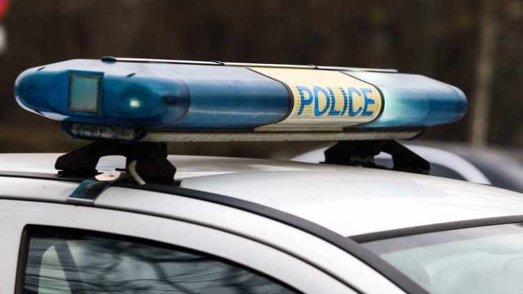 Снимка: архив, БГНЕС