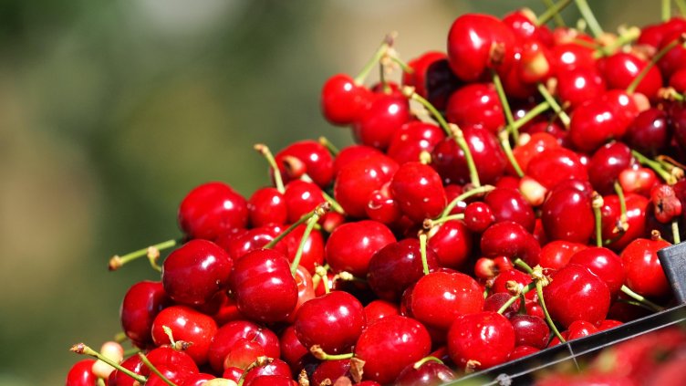 Снимка: архив, БГНЕС