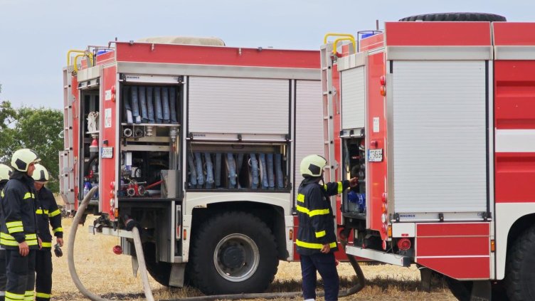 Снимка: архив, БГНЕС