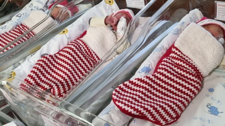 БГНЕС, архив