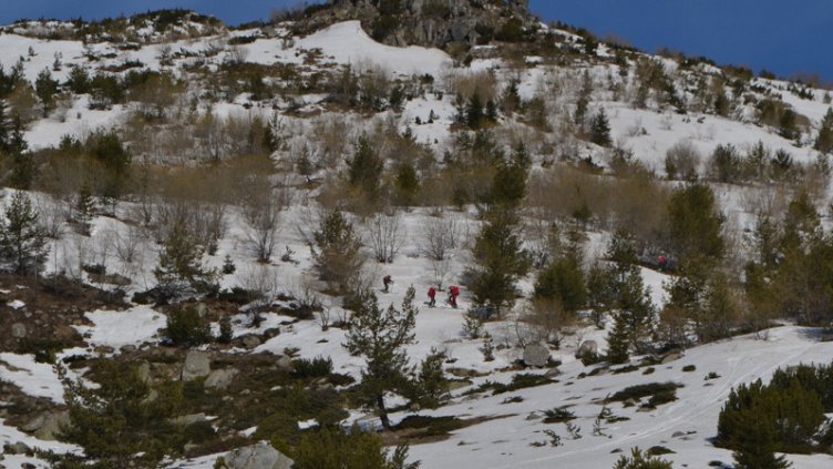 Снимка: ПСС, архив