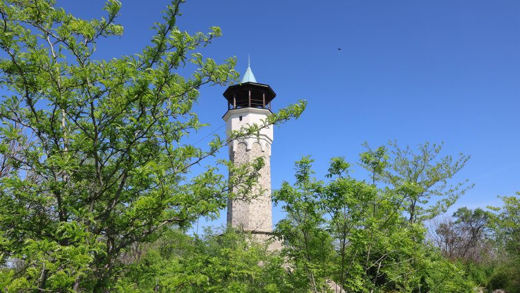 БГНЕС