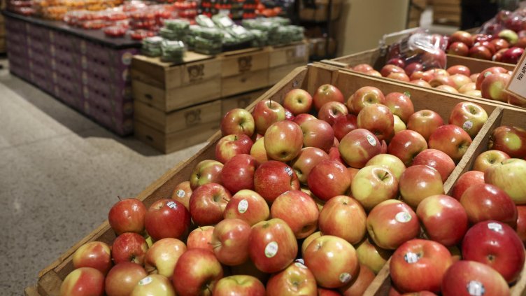 Снимка: архив, БГНЕС