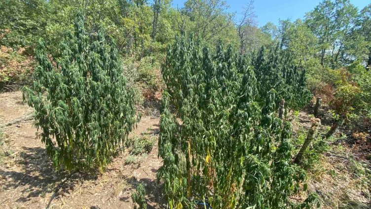 Снимка: МВР