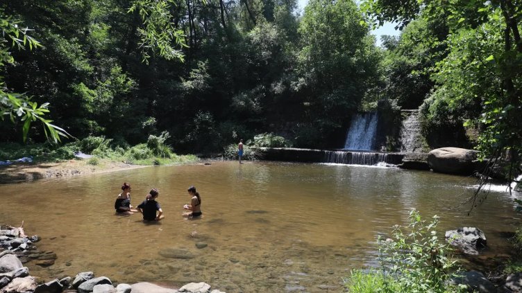 Снимка БГНЕС