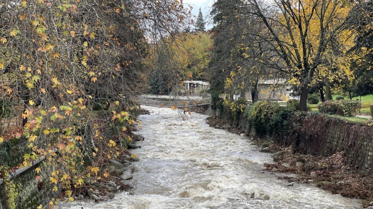 Снимка: БГНЕС