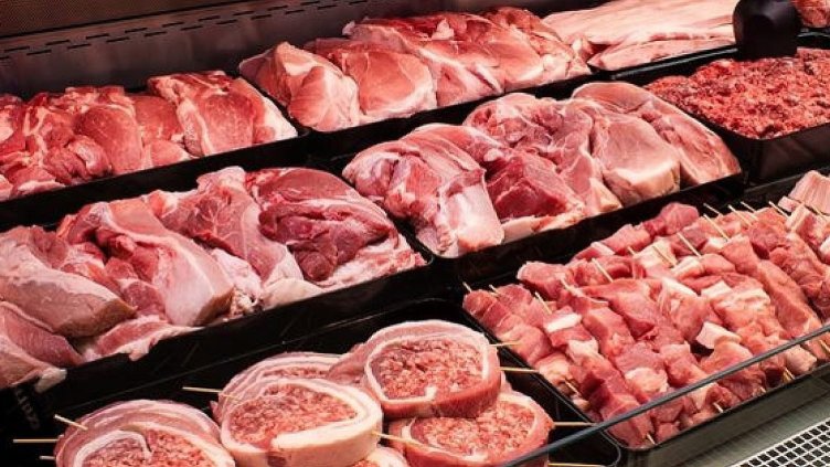 Снимка БГНЕС