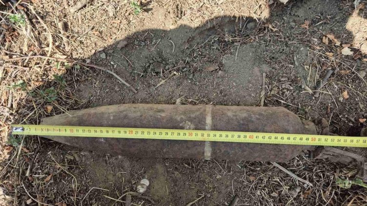 БГНЕС, архив