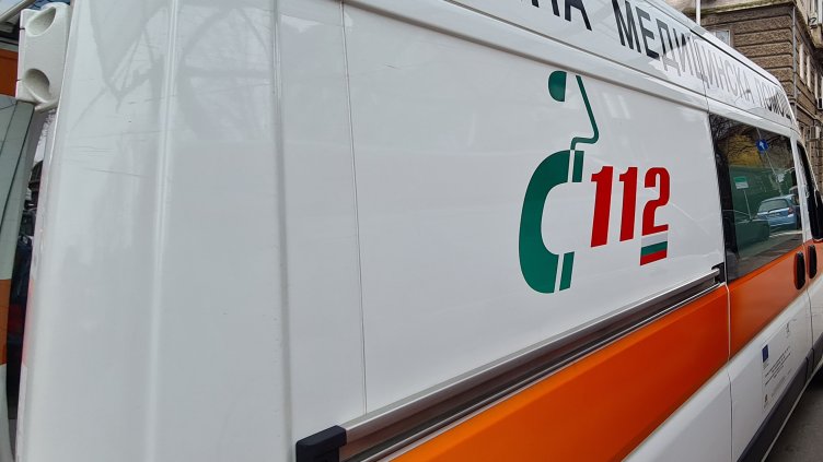 Снимка: архив, БГНЕС