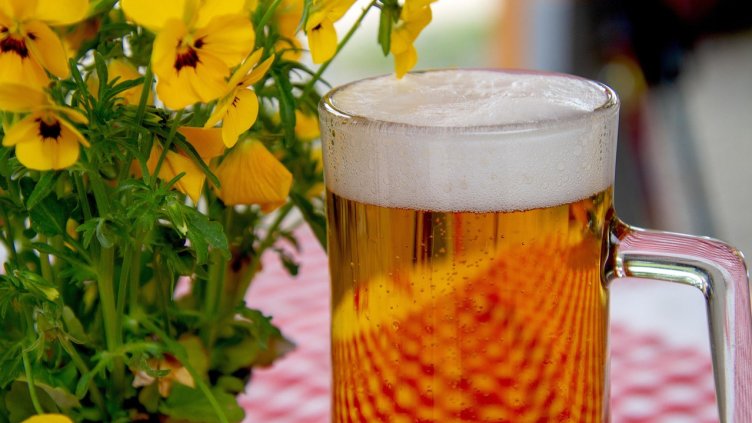 Снимка: Pixabay/ garten-gg