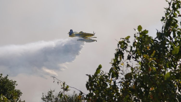 Снимка БГНЕС