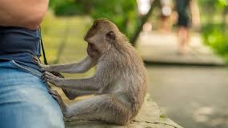 Снимка Пиксабей